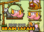 Brain safari